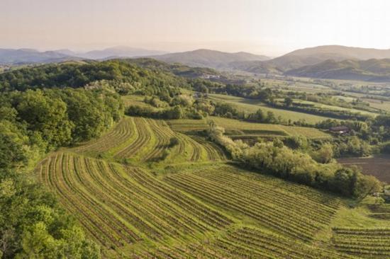 Agriturismo Spolert Winery Prepotto  Eksteriør bilde